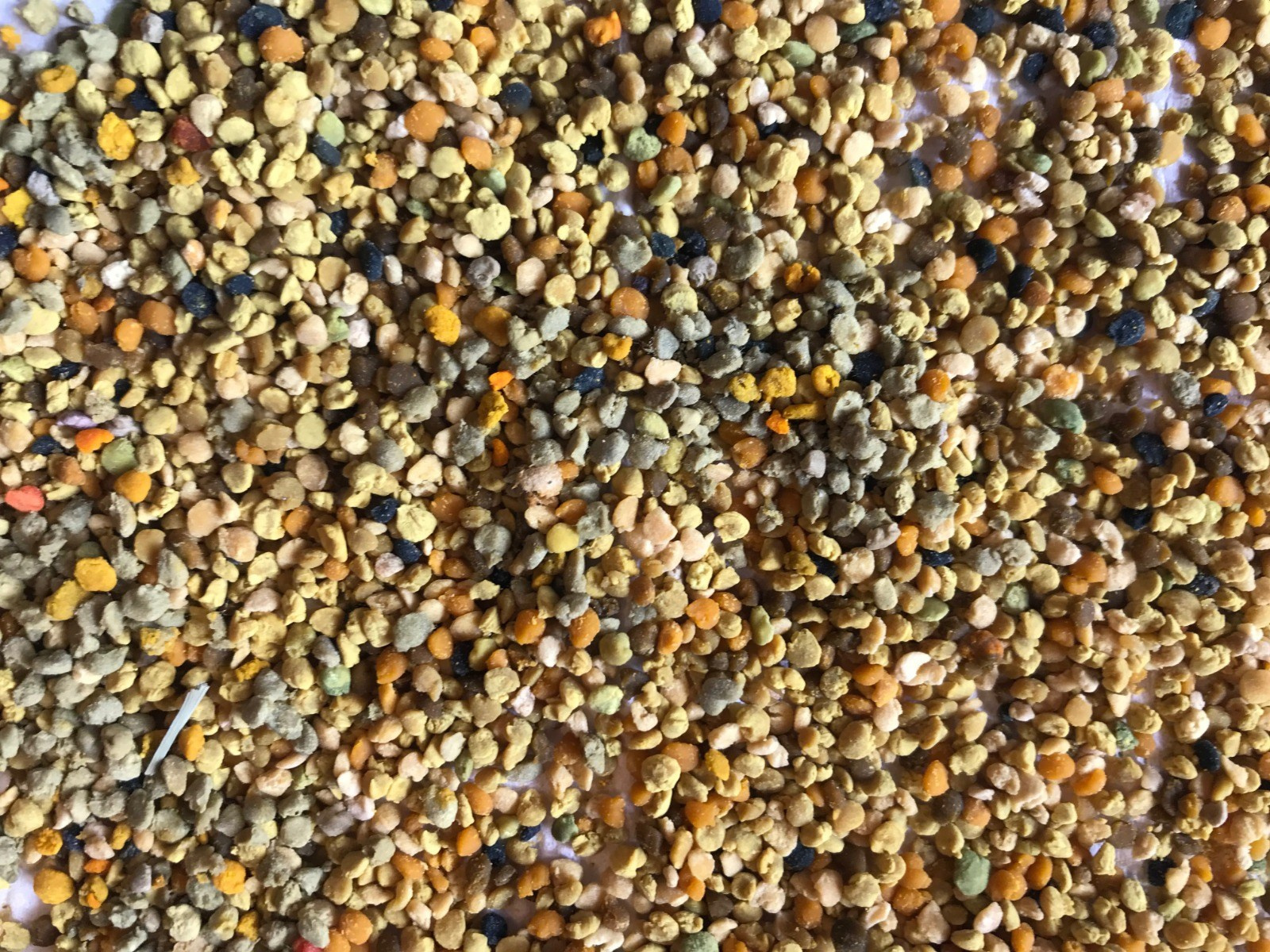 Как пчелы собирают цветочную пыльцу. Эко отдых в Подмосковье в эко-отеле Марии Гиппенрейтер