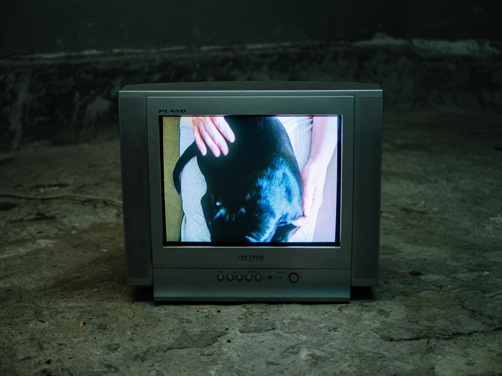 Екатерина Соколовская: ''Максимально разделять зоны ответственности''