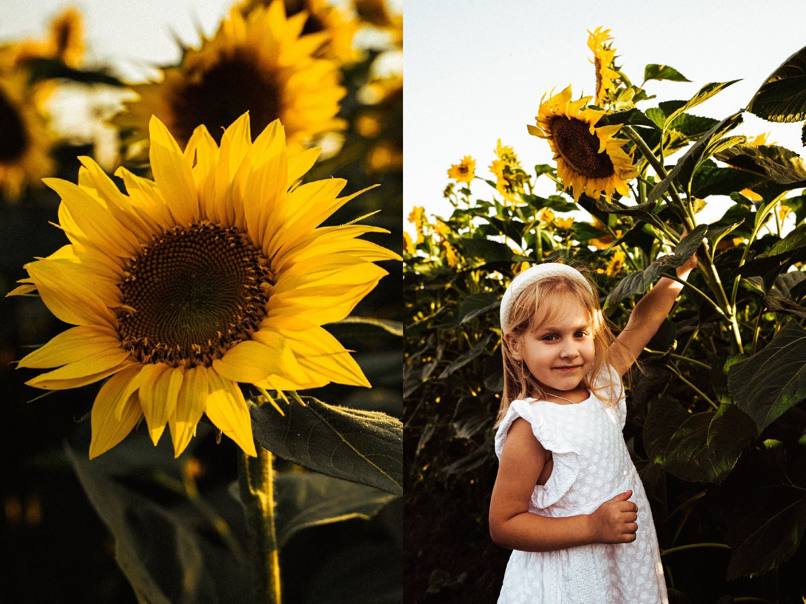 Прайс. Фотограф Ессентуки в Ессентуках КМВ Лиза Фефлер