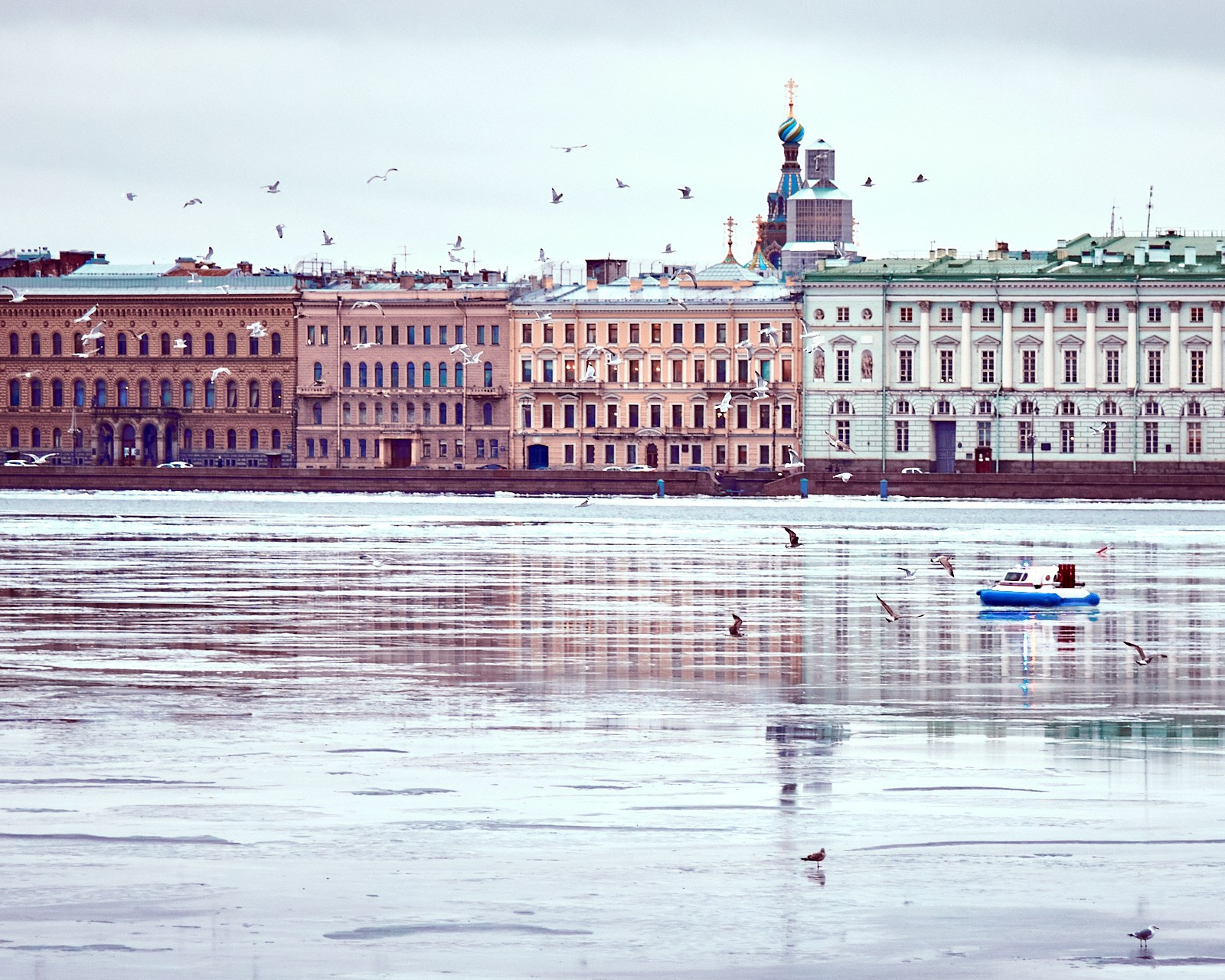 Фотопрогулка на день снятия блокады: фундаменты, чайки, Новый год и др. НЕЙРО-АРТы Воеводова
