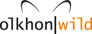renekhamitov.com
