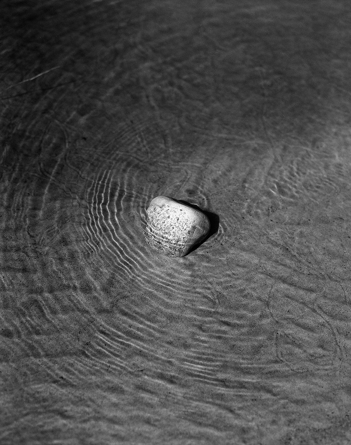 The voice of cold water. Vika Bykovskaya photography