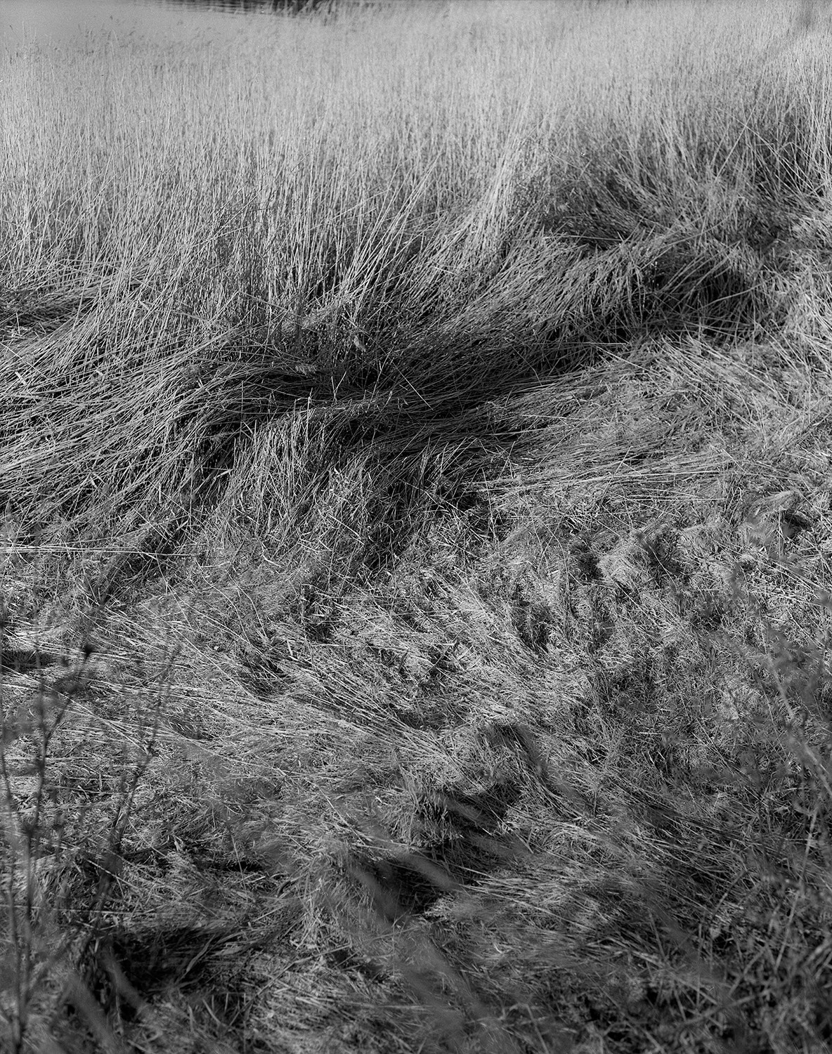 The voice of cold water. Vika Bykovskaya photography