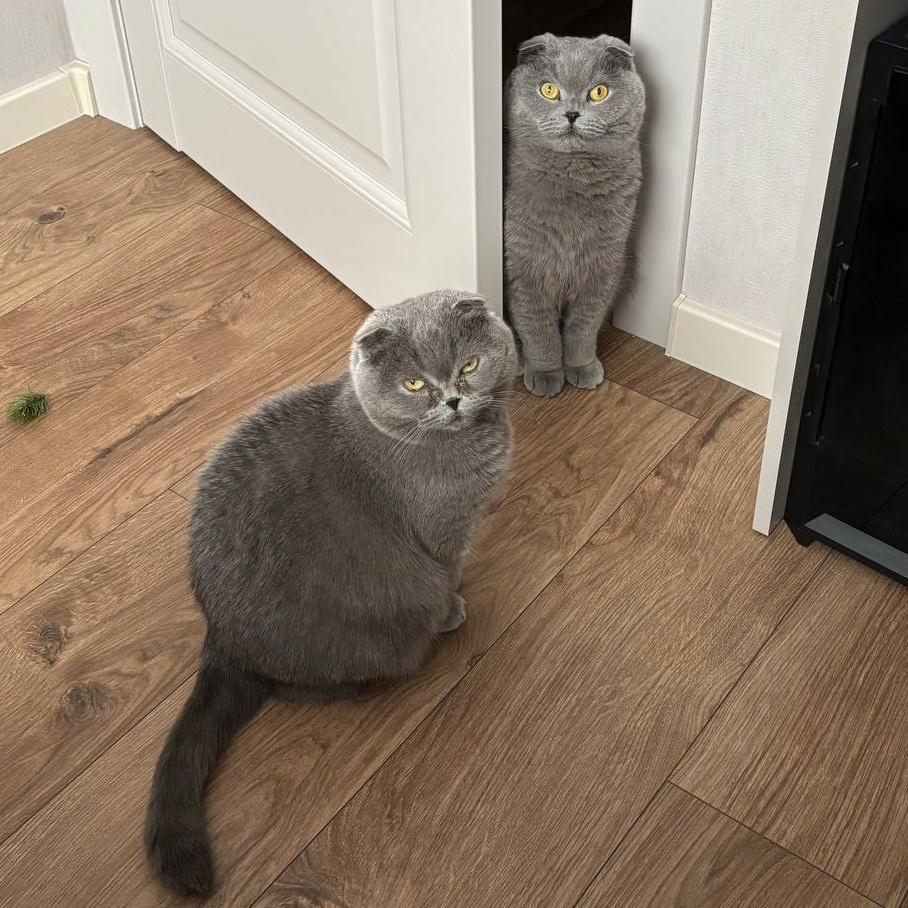 Свадебные фотограф и видеограф Алина и Евгений Кумановские | О нас. Свадебные фотограф и видеограф в Краснодаре | Алина и Евгений Кумановские