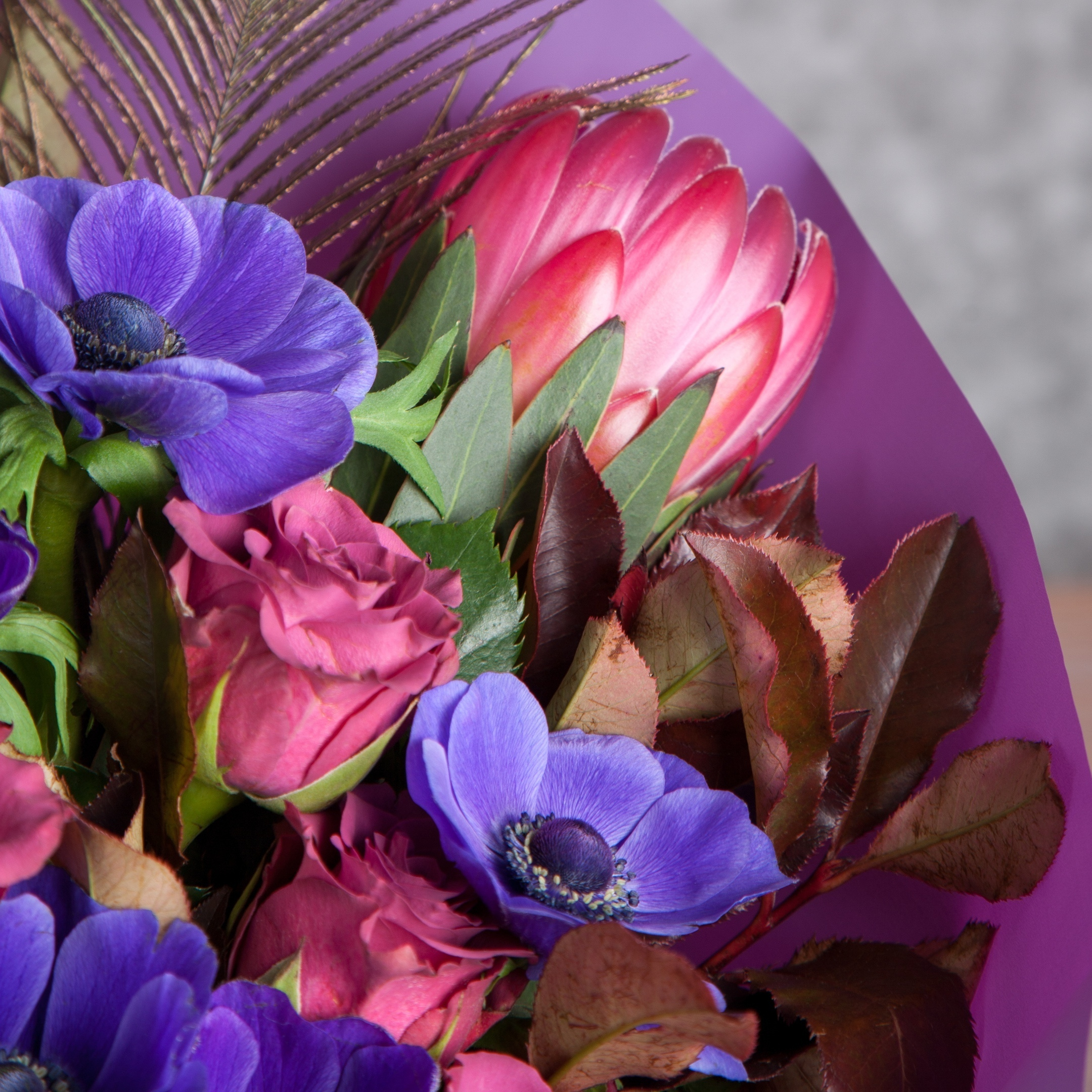 Букет анемоны-розы-протея-гортензия-перо. Флорист Маргарита Гладкова