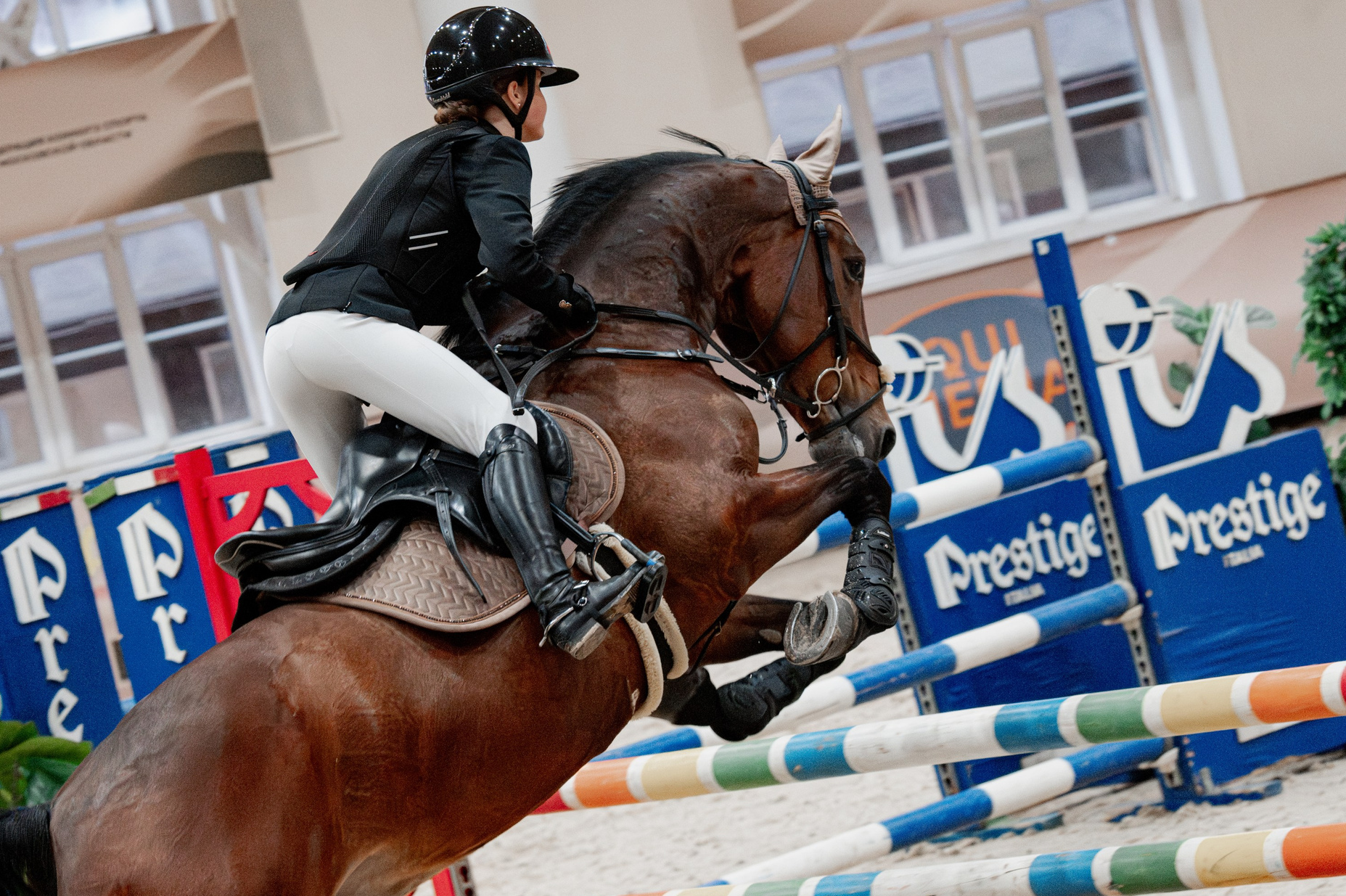 Спортивные мероприятия. Куракина Дарья • Конный фотограф