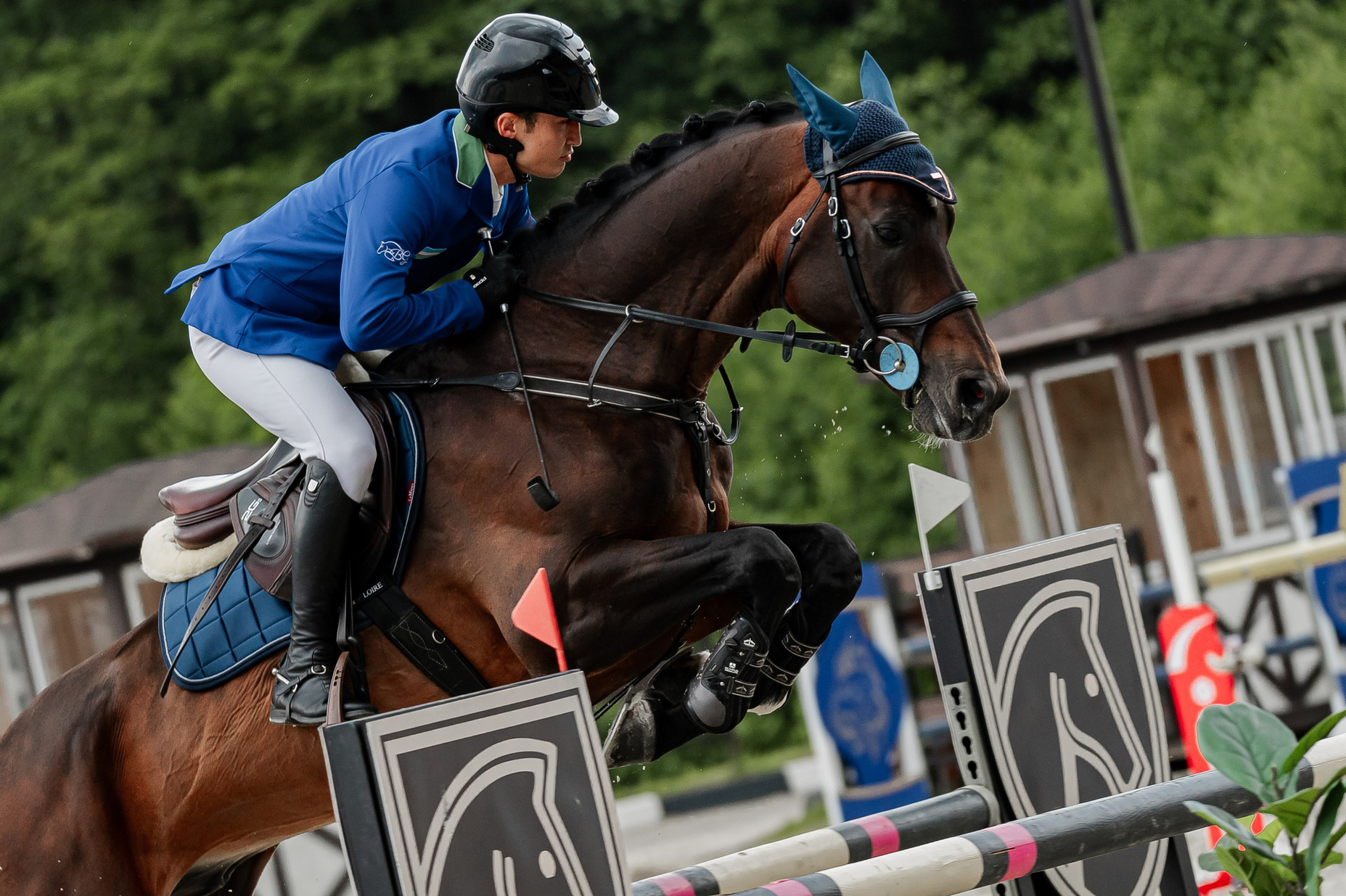 Спортивные мероприятия. Конный фотограф Куракина Дарья • Фотосессии с лошадьми