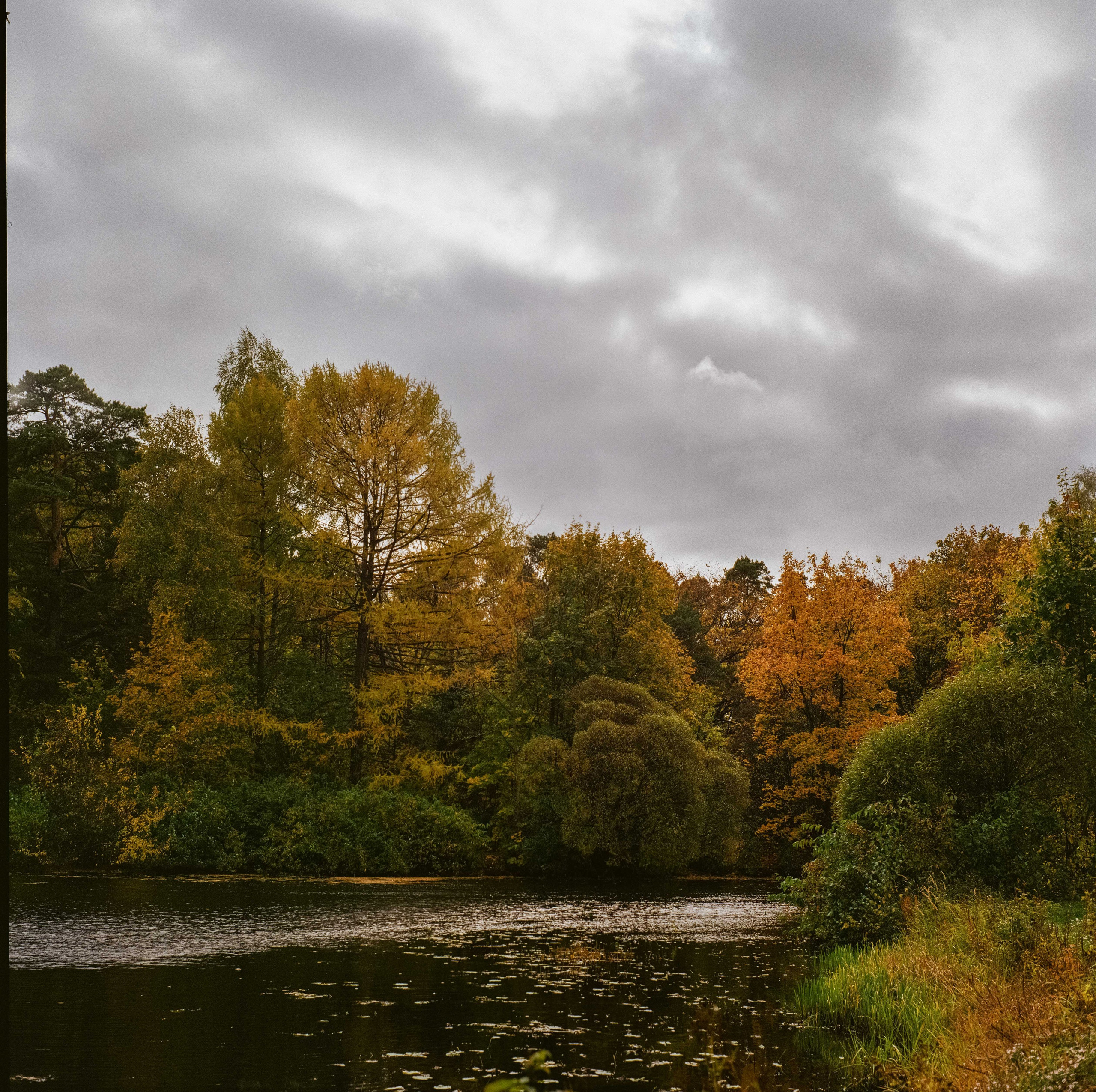 Фотография на средний формат