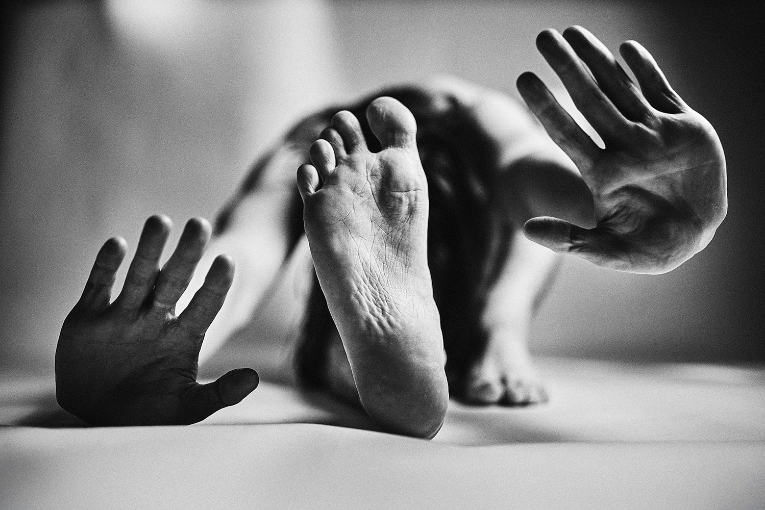 Грачева Мира. Организация фотовыставок в Петербурге и Москве, MFamilia (МФамилия)