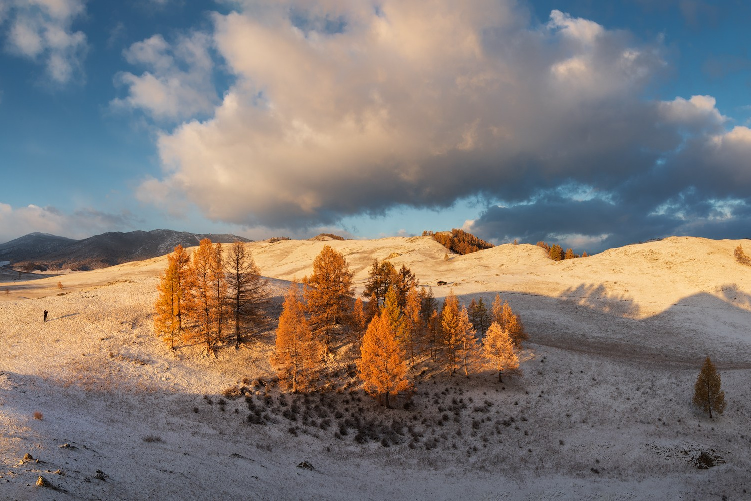 Фототур по осеннему Алтаю «Встречаем предзимье». Профессиональный пейзажный фотограф Алёна Рубан