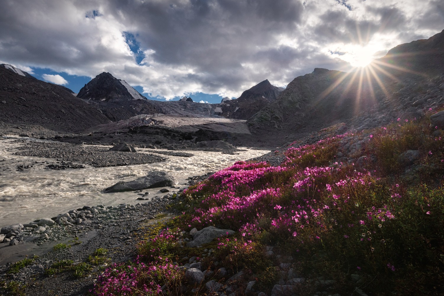 Фототур «Летнее высокогорье Алтая». Профессиональный пейзажный фотограф Алёна Рубан