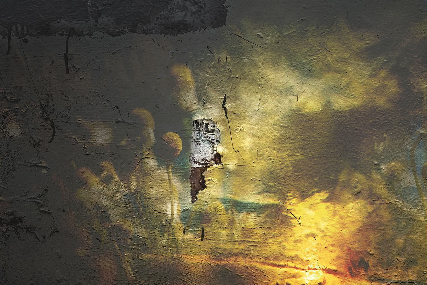 Моторина Арина. ARTEXPOPHOTO