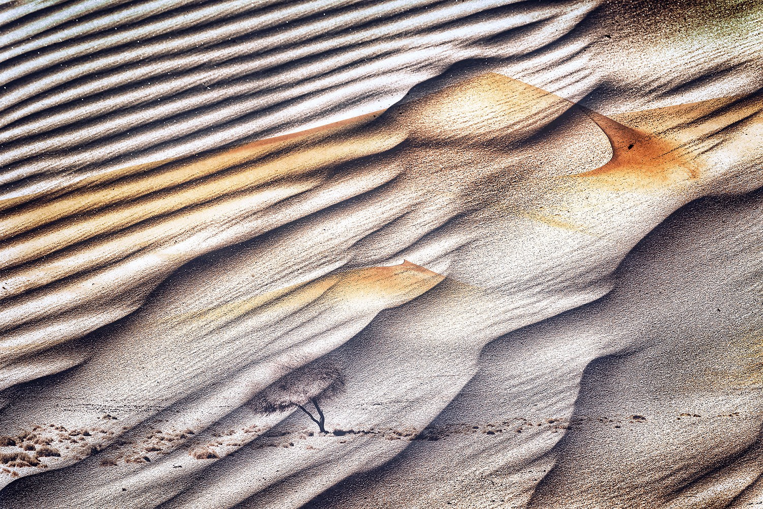 Плешкова Мария. ARTEXPOPHOTO