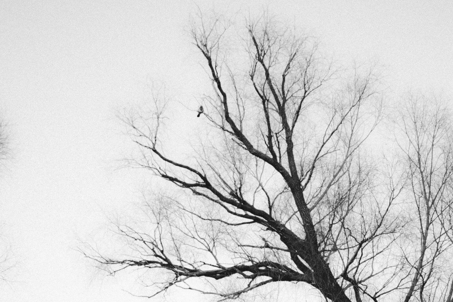 Контакты. DARYA_GROM