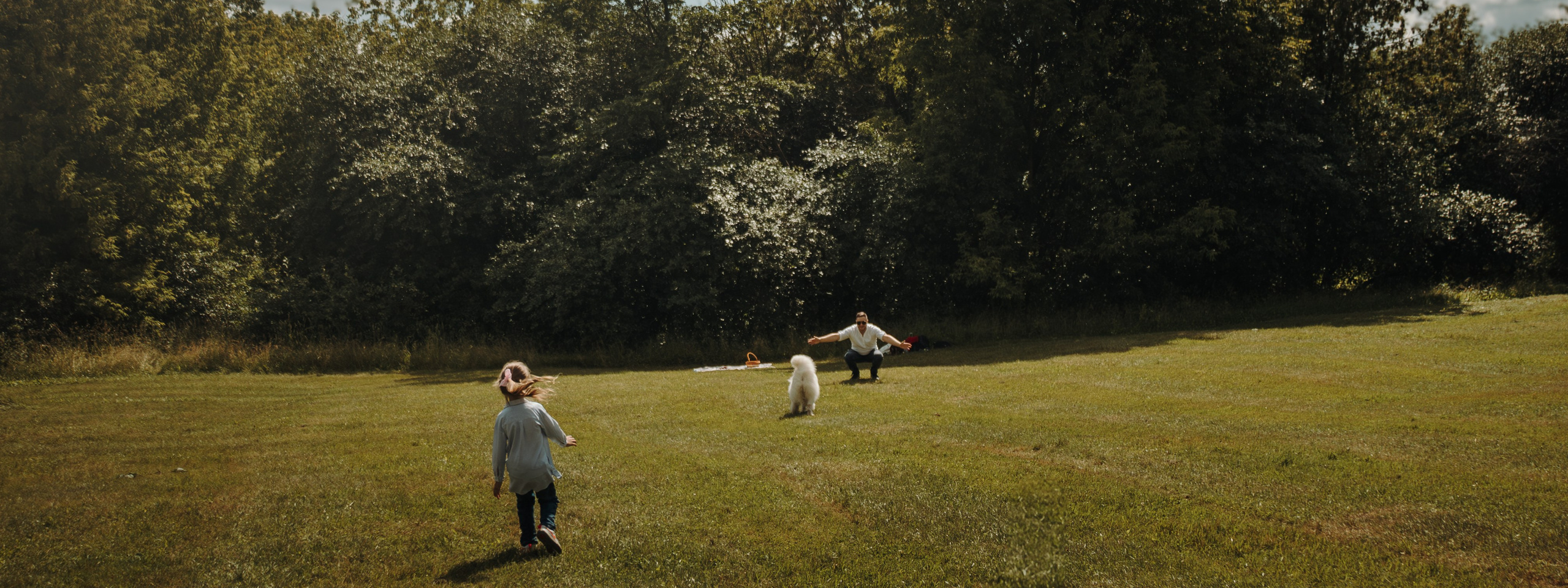 Живые кадры в парках Москвы