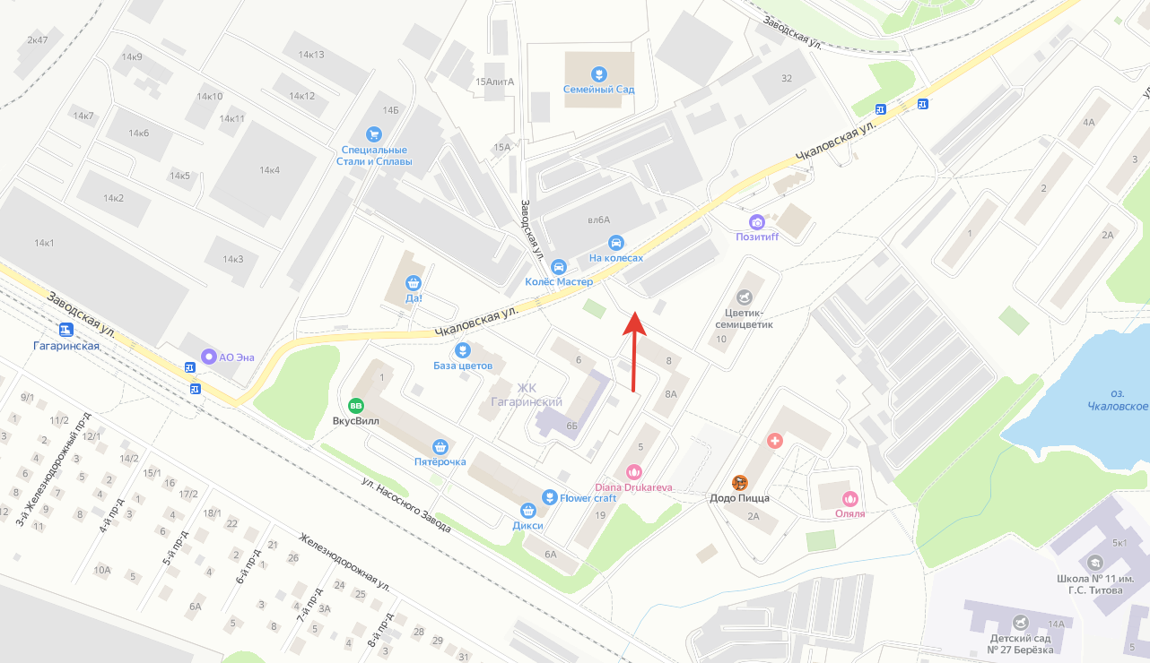 Что и где цветёт в Щёлково. Свадебный и семейный фотограф Виктория Носачёва. Щелково, Москва и МО