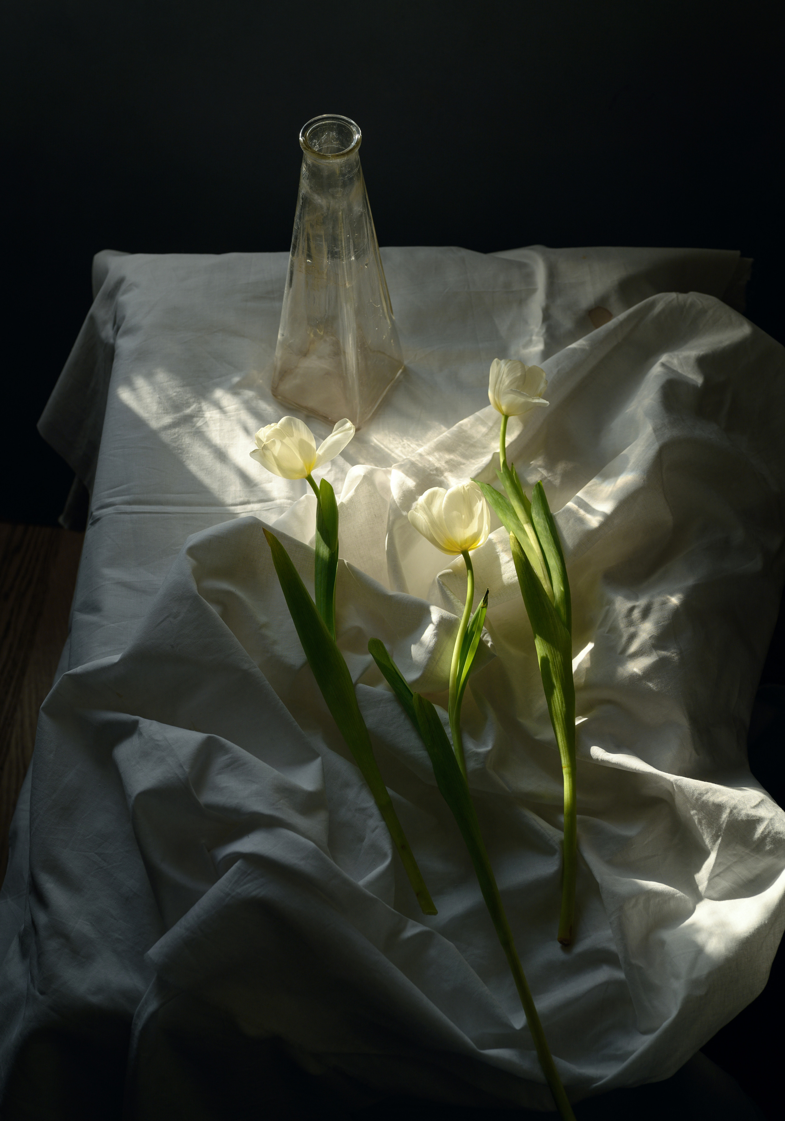 С тюльпанами. Фотограф Елена Хазина, Рязань