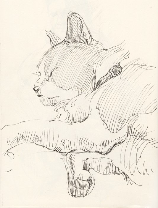 День котов. Ефремова Ольга. Художник