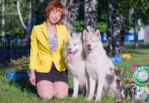 Новости питомника Ice Fantasy. Купить щенка Вельш-корги-кардиган в семейном питомнике — Ice Fantasy