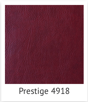 Пг, Тиснение, искуст.кожа, техн. Фотограф Ольга Молева