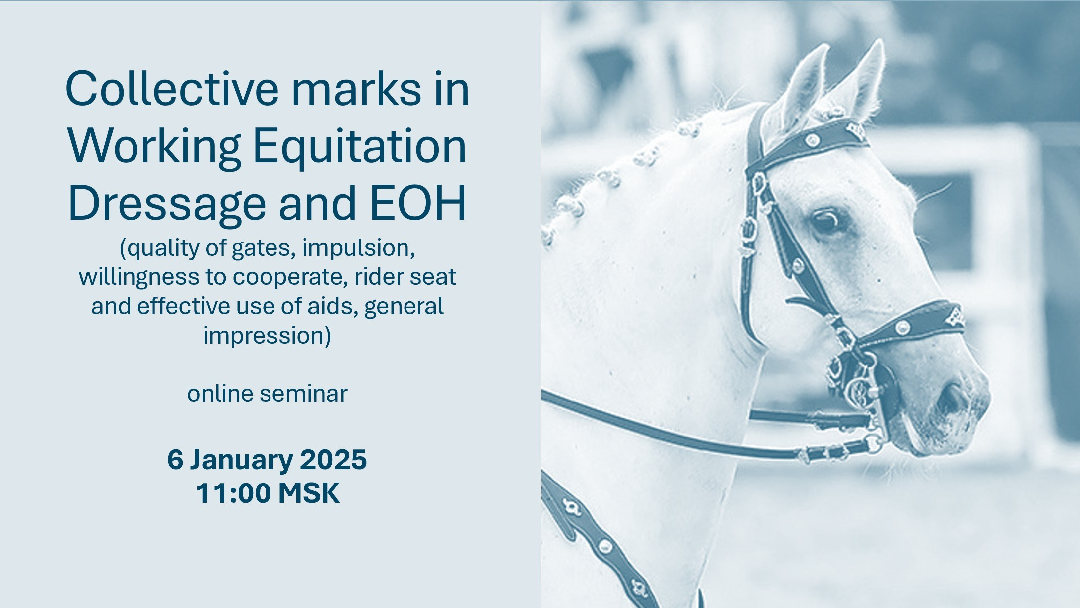 Календарь соревнований и семинаров. Лиана Антонович | Конные стратегии