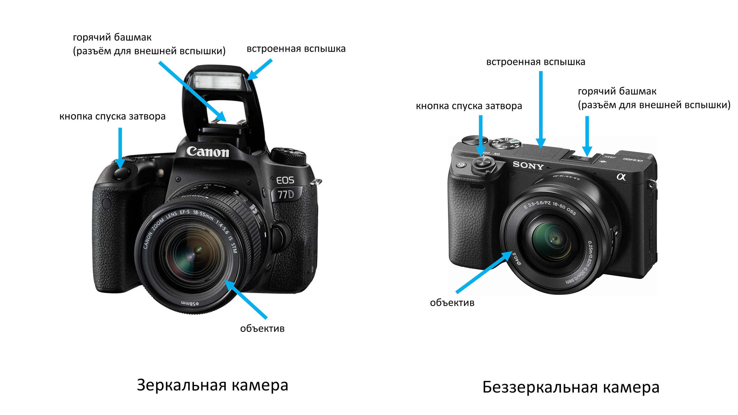 зеркальный и беззеркальный фотоаппарат