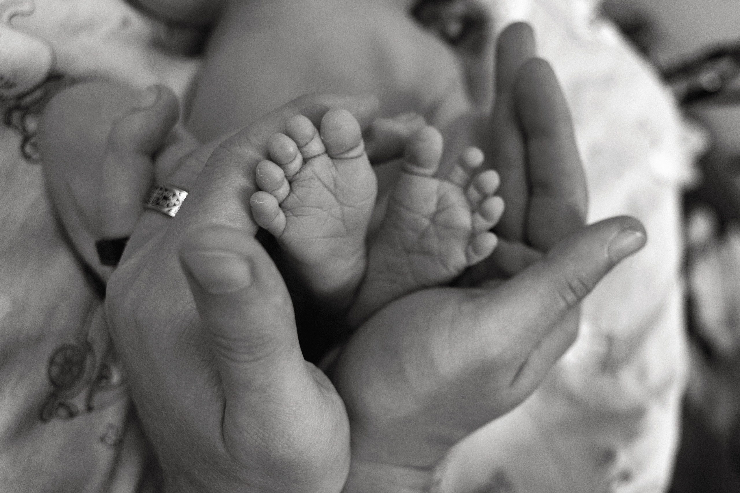 Услуги. Фотограф и видеограф на роды Москва