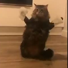 Услуги. VeilCride PhotoArt | Косплей & Креативная фотография