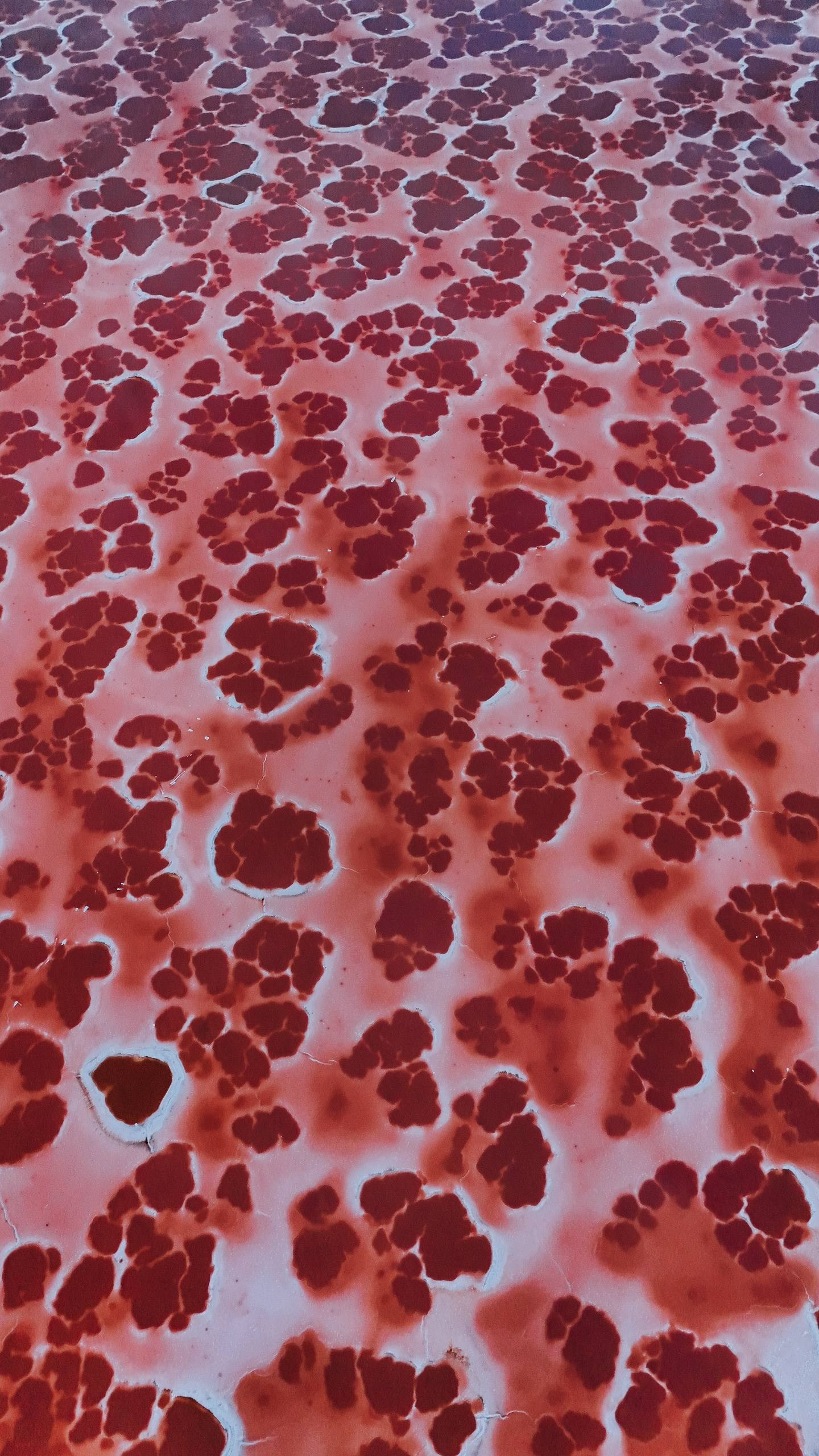 Абайя. Съемка для брендов и частных клиентов Москва