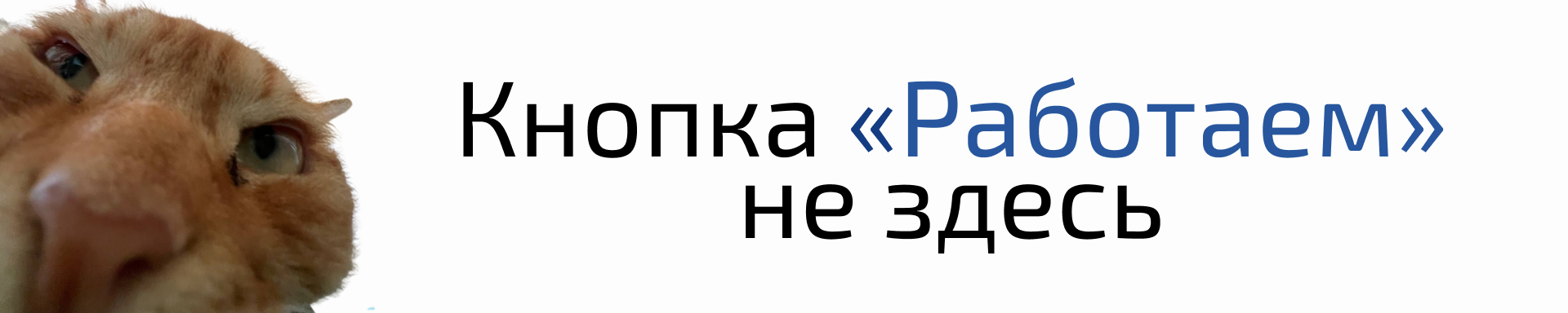 Задняя сторона