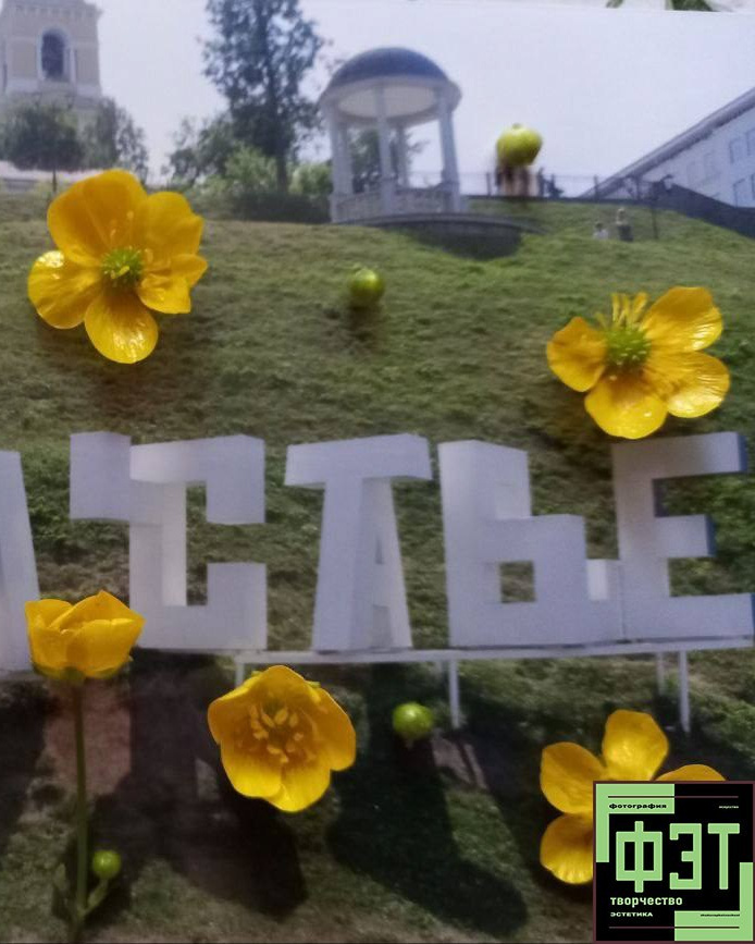 ФЭТ: Фотография Эстетика Творчество. 26.10.2025. Наталья Жукова. Курсы фотографии