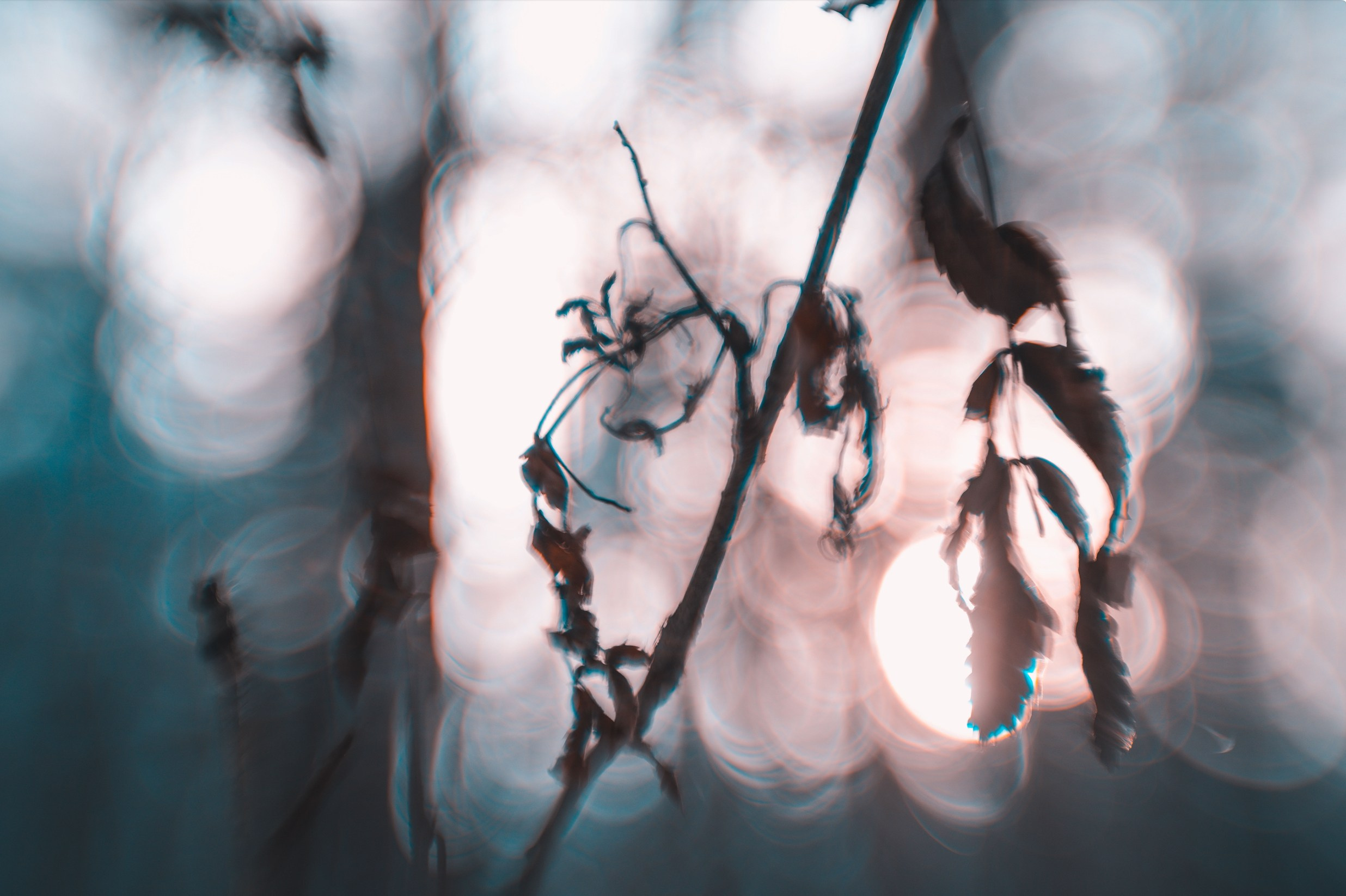 ART BEYOND REASON. International visual artist