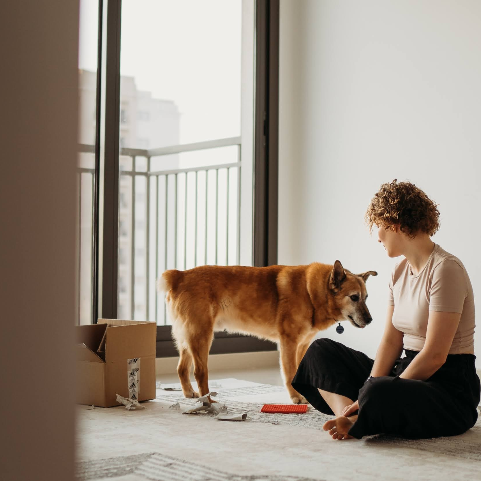 How it works. Photos of you and your pet