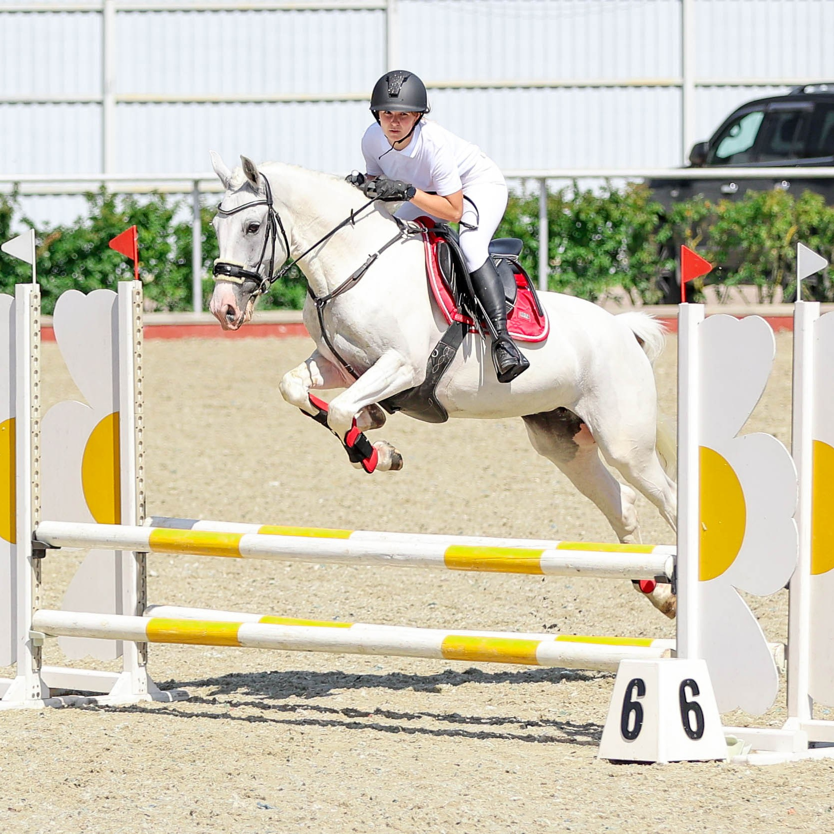 КСК КОНКОРД 27.07. Фотограф Баринова Полина