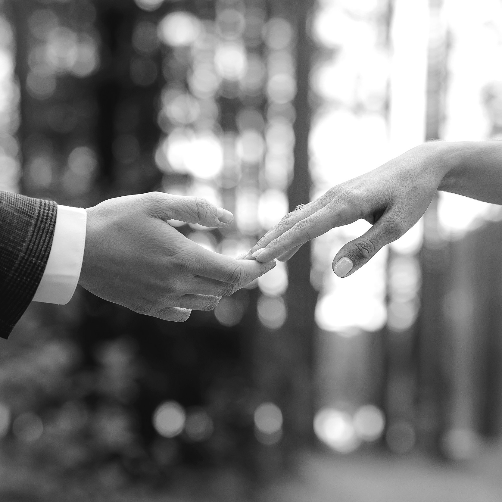 Свадебный и семейный фотограф В Череповце Дмитрий Паутов