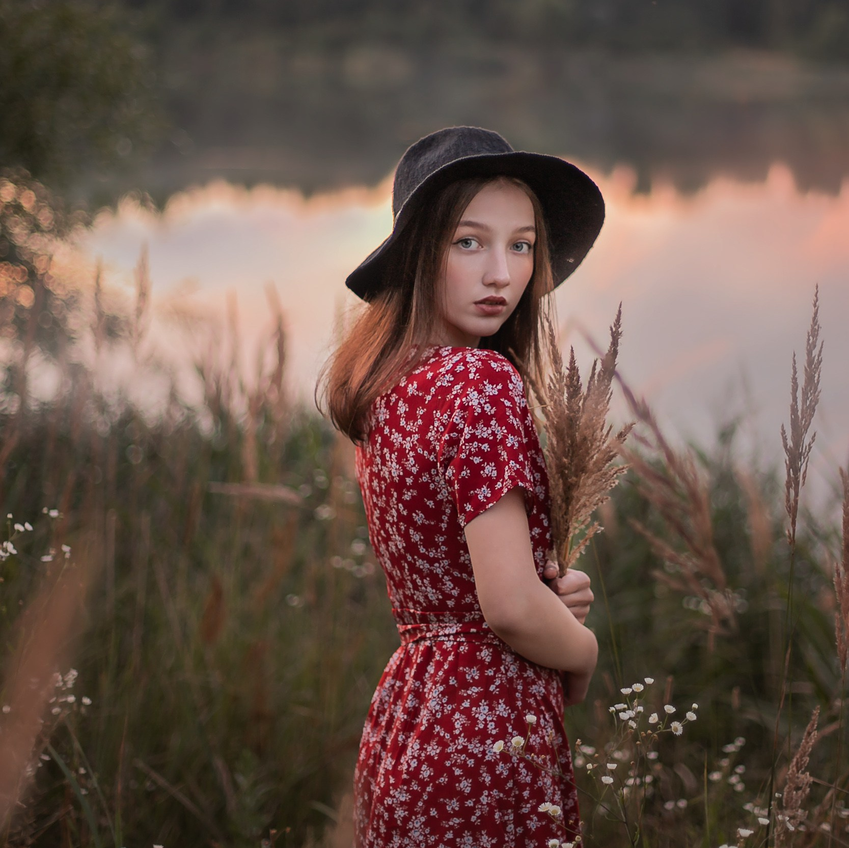 Услуги. Свадебный и Семейный фотограф во Владимире