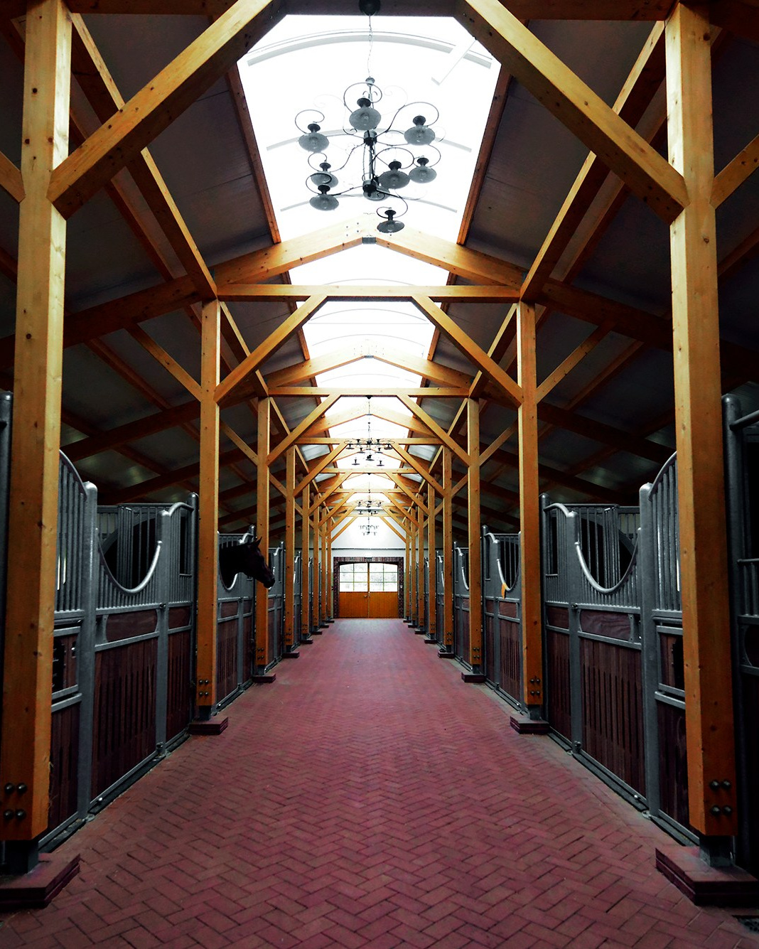 Частные съемки. Конный фотограф Алеся Сейф / Alesya Safe