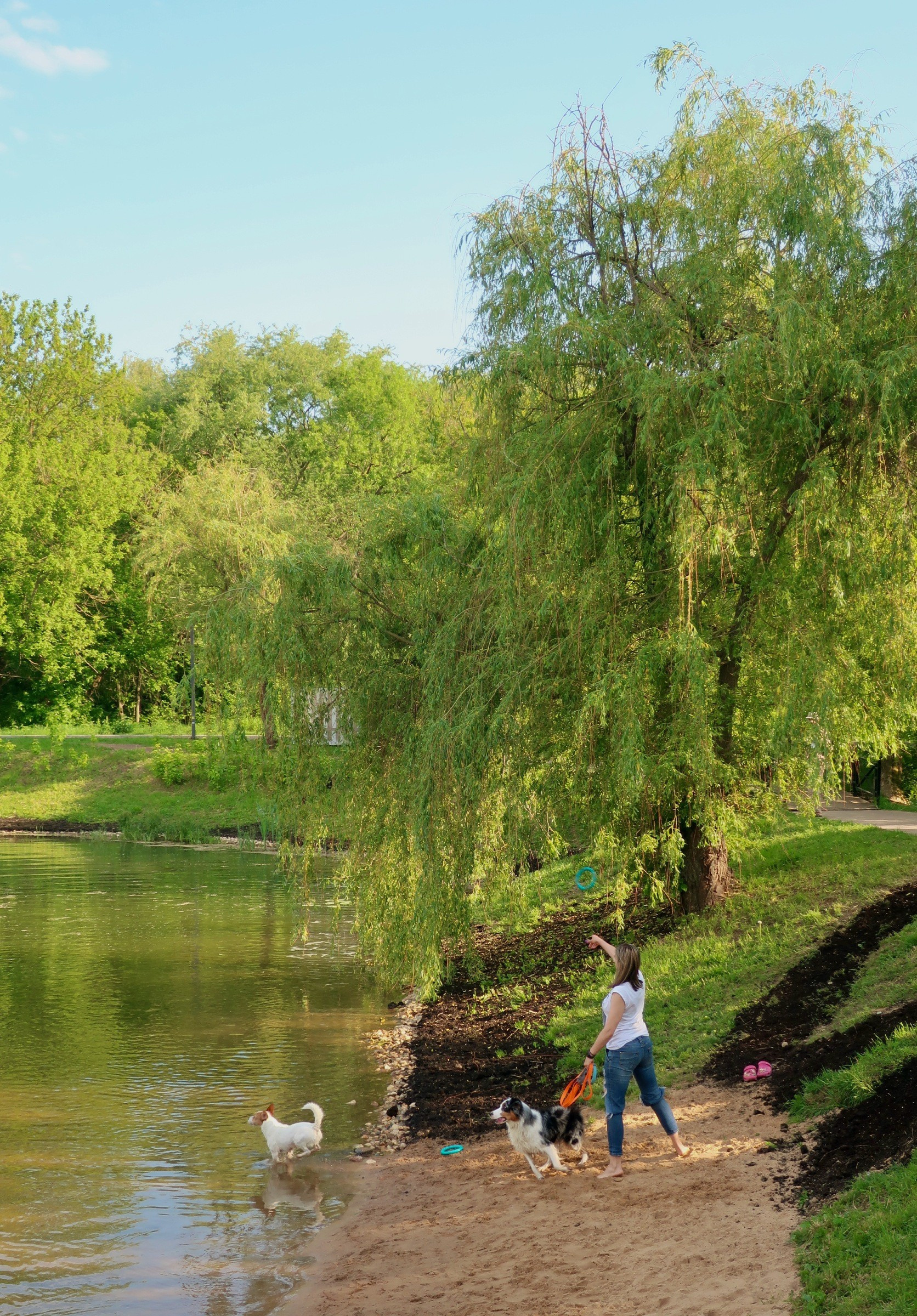 Парки Яуза, Свиблово и Свибловские пруды. Проект «Фотокладовка»: блог уличной фотографии в формате street photo