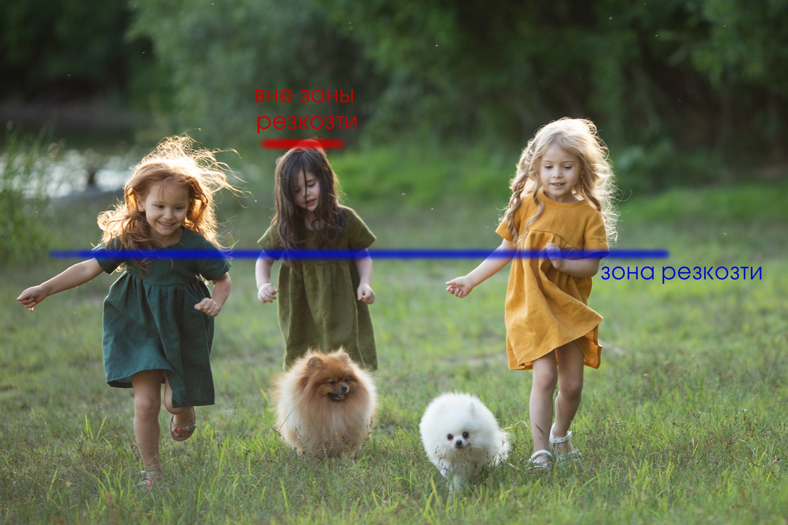 Фокусировка на зеркалках Canon: как работает автофокус и когда нужна микрорегулировка. Фотошкола в Краснодаре, обучение фотографии с нуля, практические занятия, небольшие группы