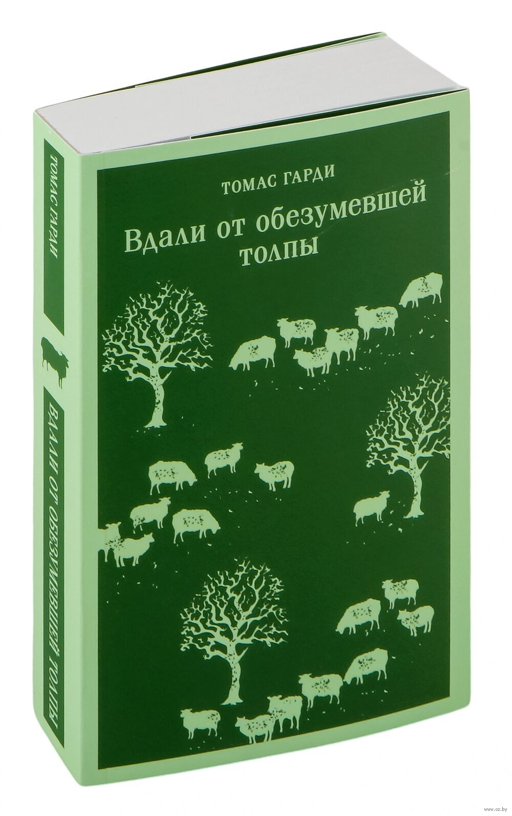 Книжный клуб Вишнёвый пирог. Марковы: фото, видео, кино и книги