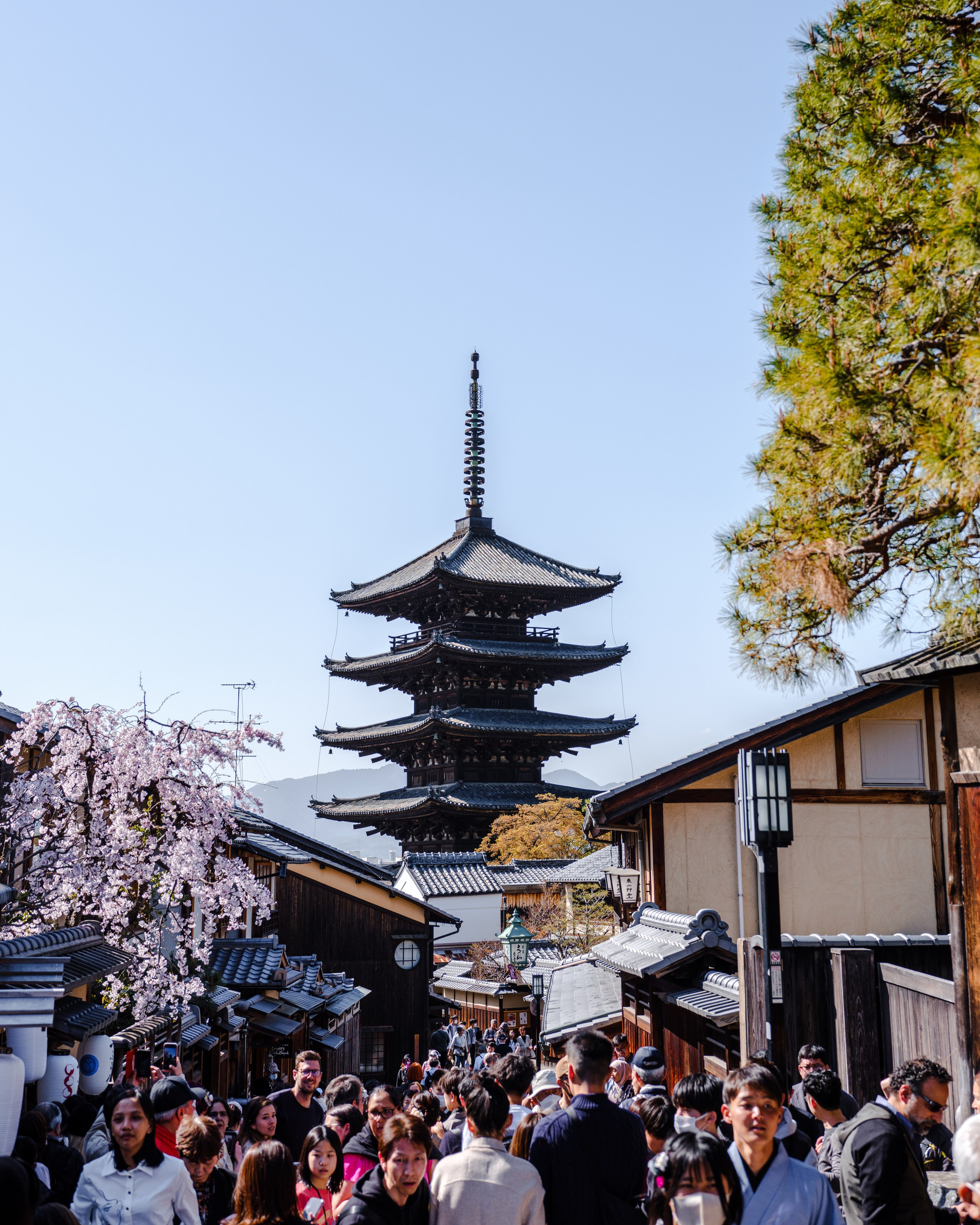 Невероятная Япония: Сезон Момидзе и Осенние Клены. Свадебный и Студийный фотограф из Казахстана Артем Орлянский