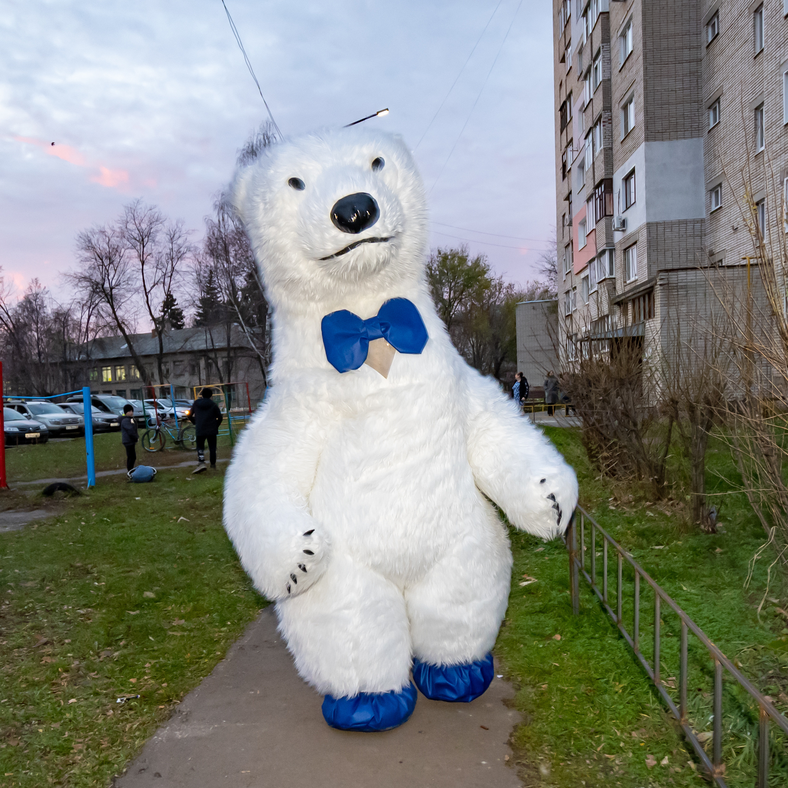 Поздравления от Мишки Тедди в Муроме