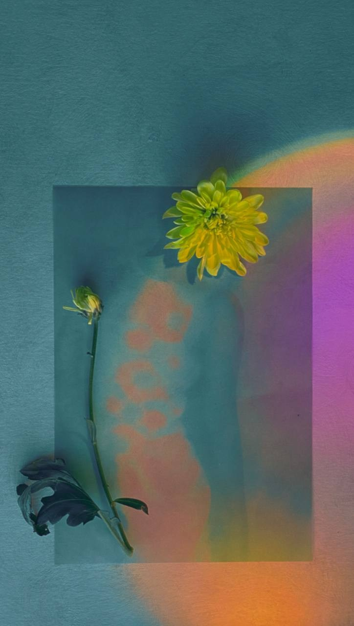 Серии. Visual artist