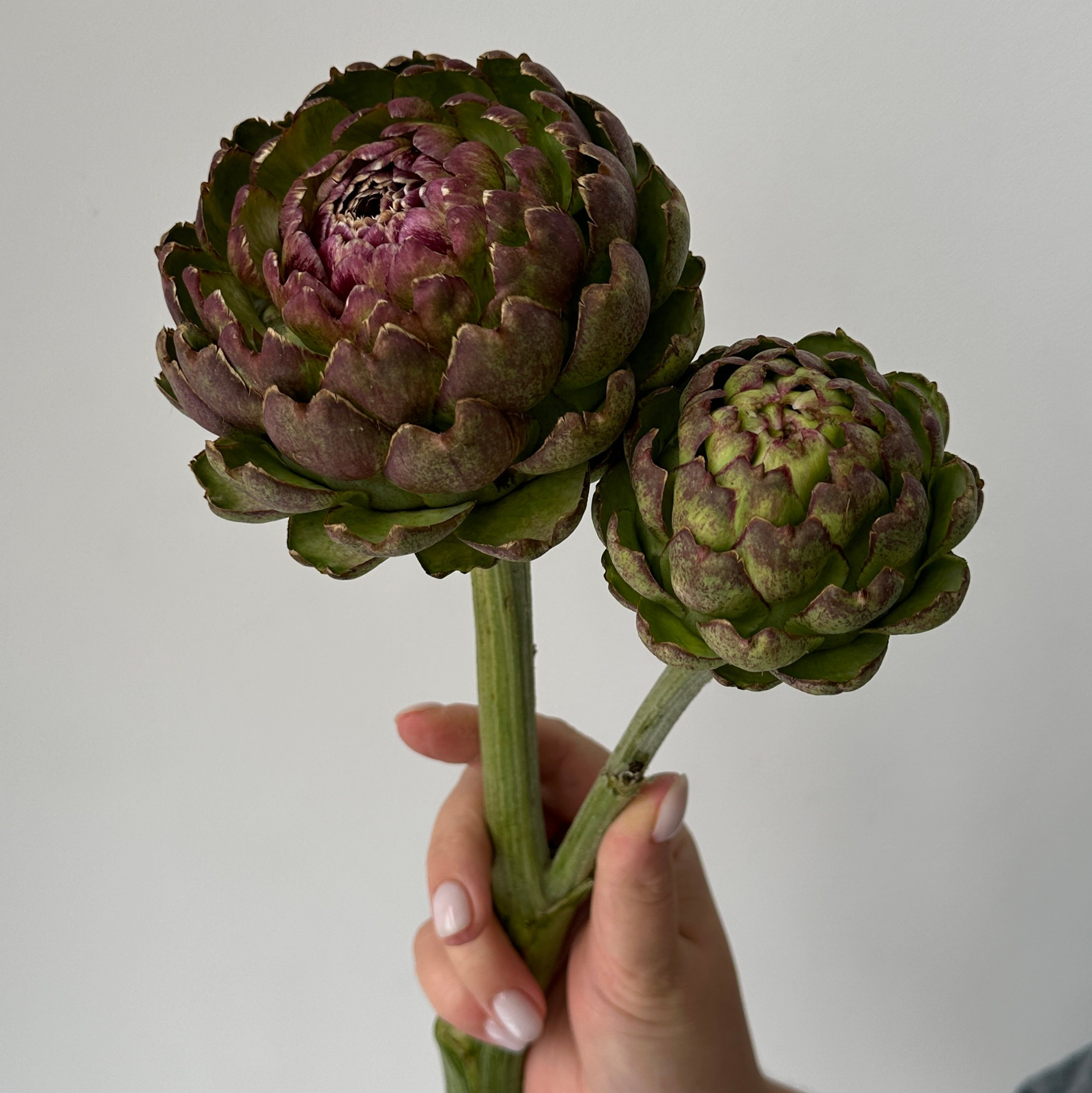 Сервис. Цветочная студия Siena Flowers Воронеж