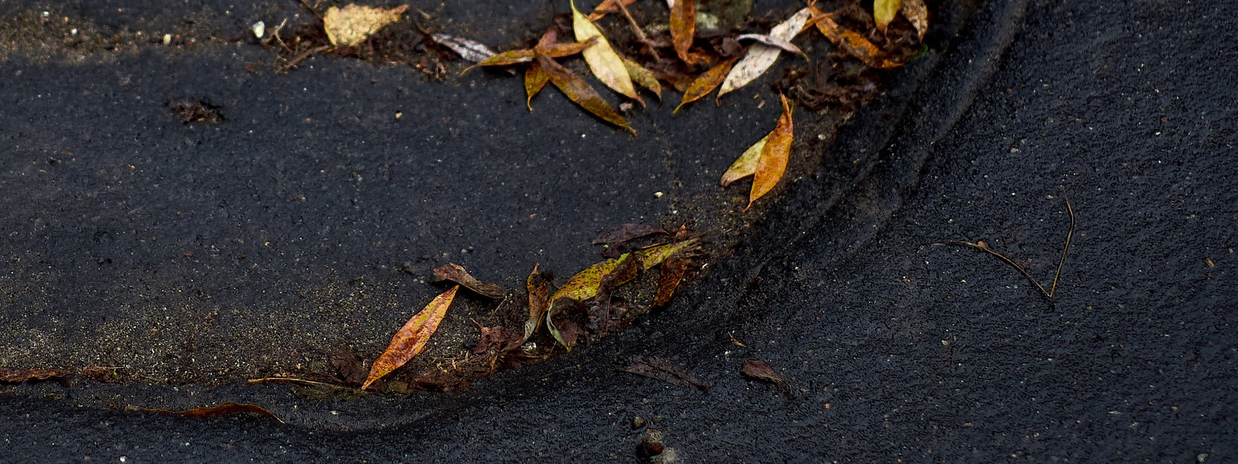 Autumn isn’t about endings. Reportage event photographer in Moscow Alexander Gladkiy