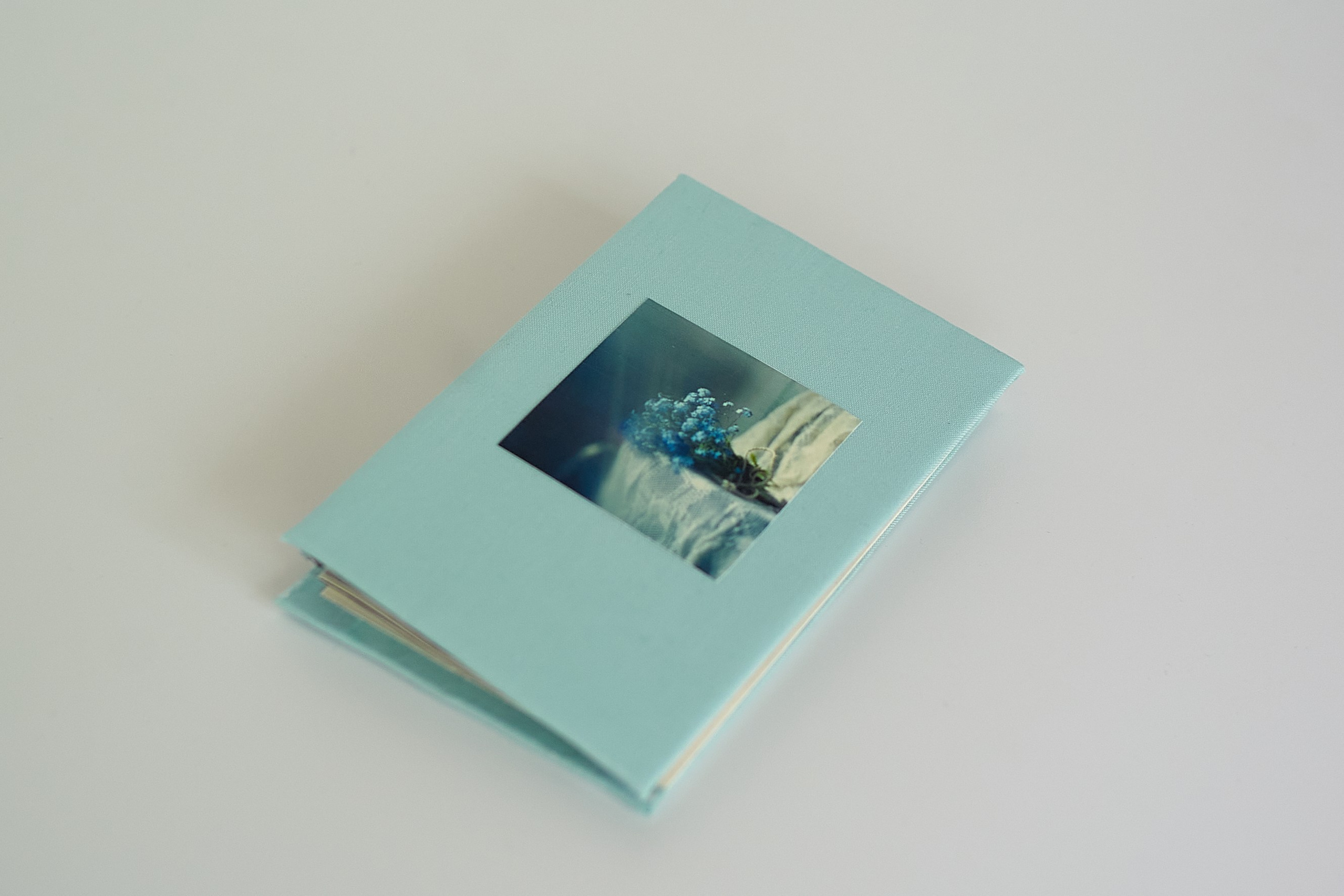 Зин книги лепорелло анна чоботова anna chobotova