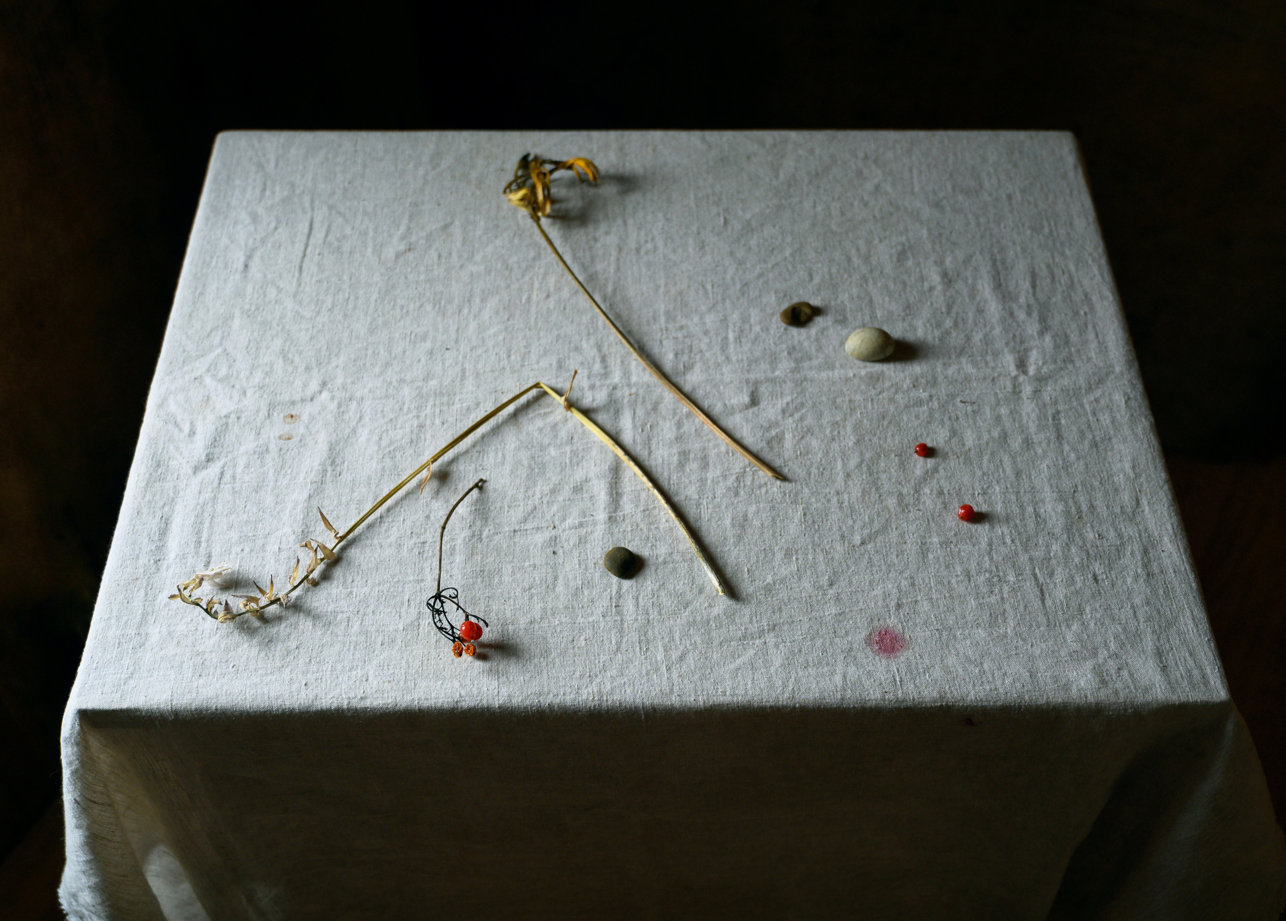 Зимнее дачное. Фотограф Елена Хазина, Рязань