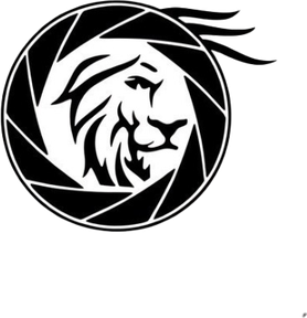 leonshaydulin.wfolio.pro