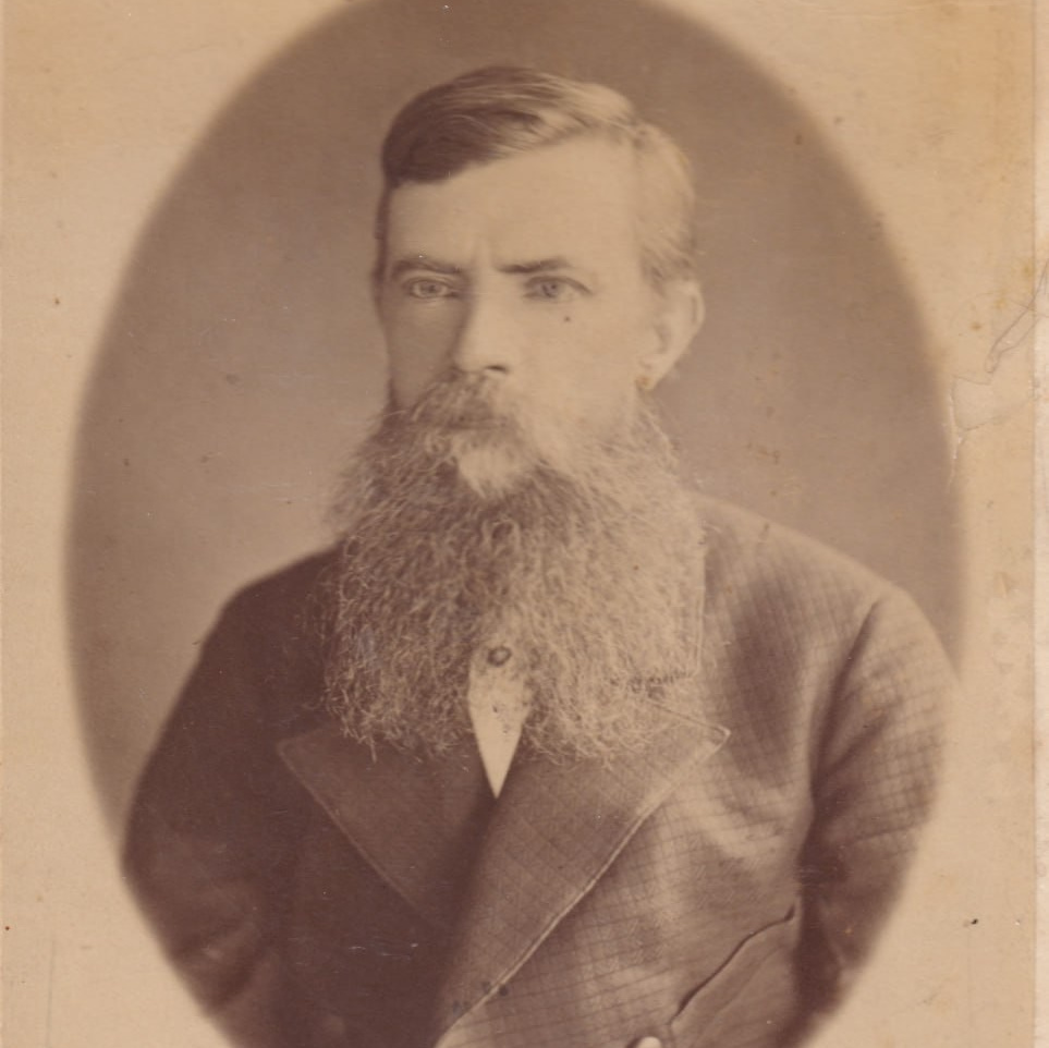 Портфолио. Главная