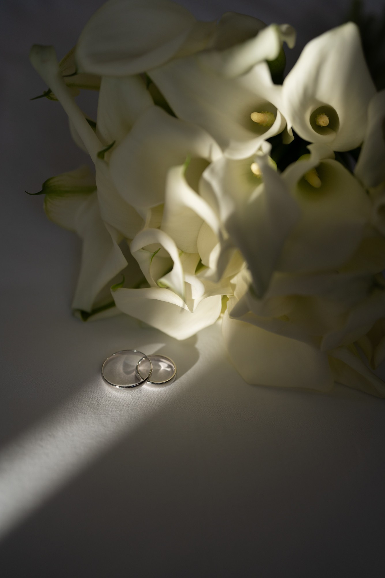 Фотосессии. Фотограф в Москве Мария Терентьева